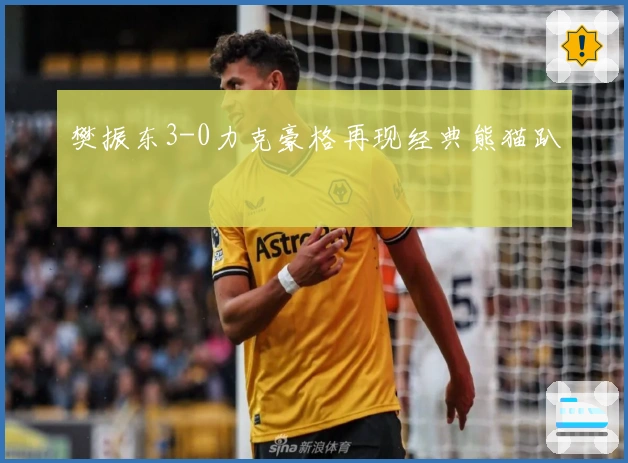 樊振东3-0力克豪格再现经典熊猫趴