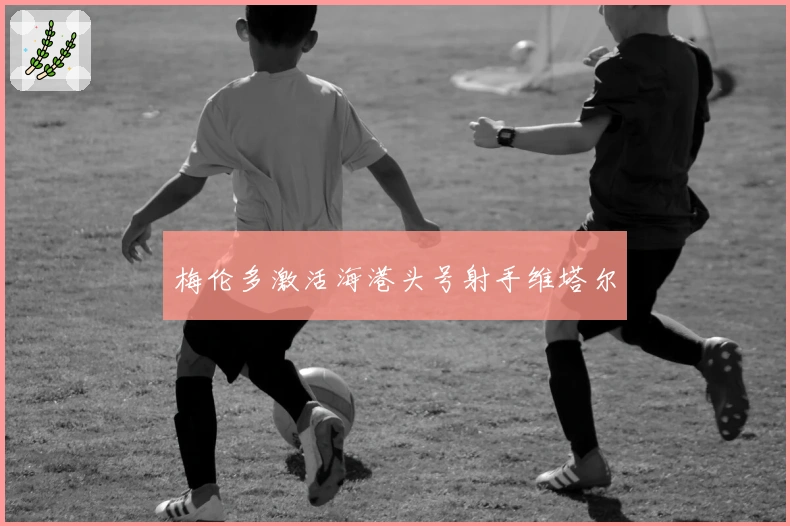 梅伦多激活海港头号射手维塔尔